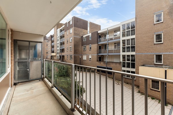 Zadkinerade 17_10.jpg